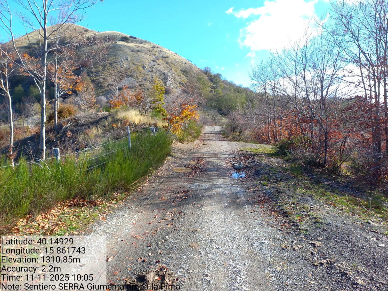 Galleria Fotografica Immagine