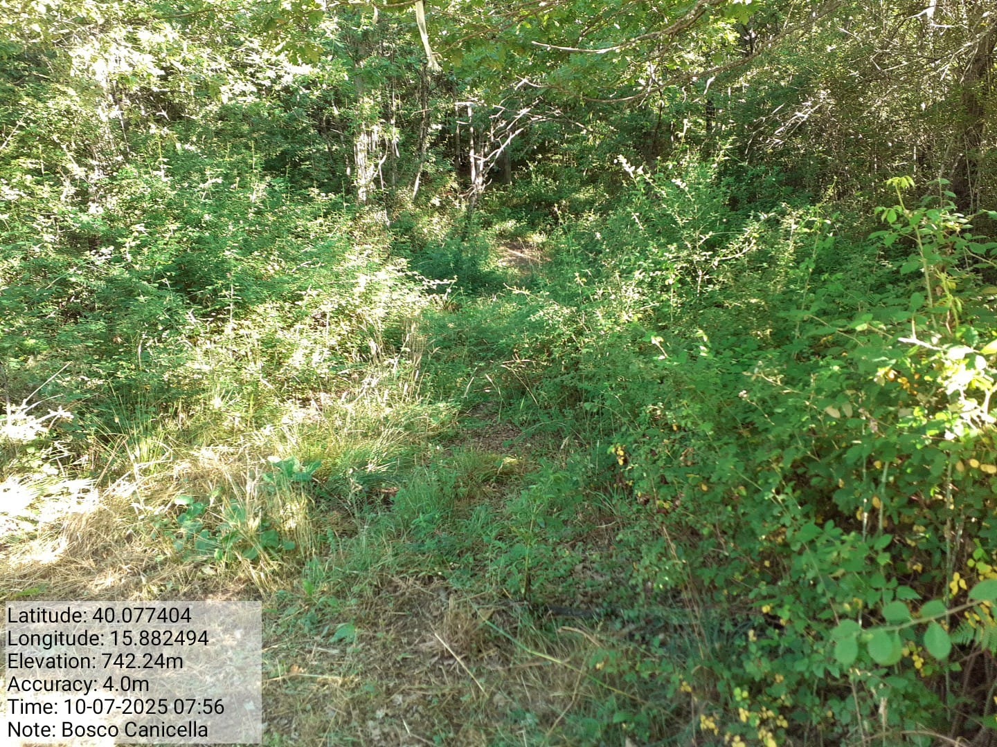 Galleria Fotografica Immagine