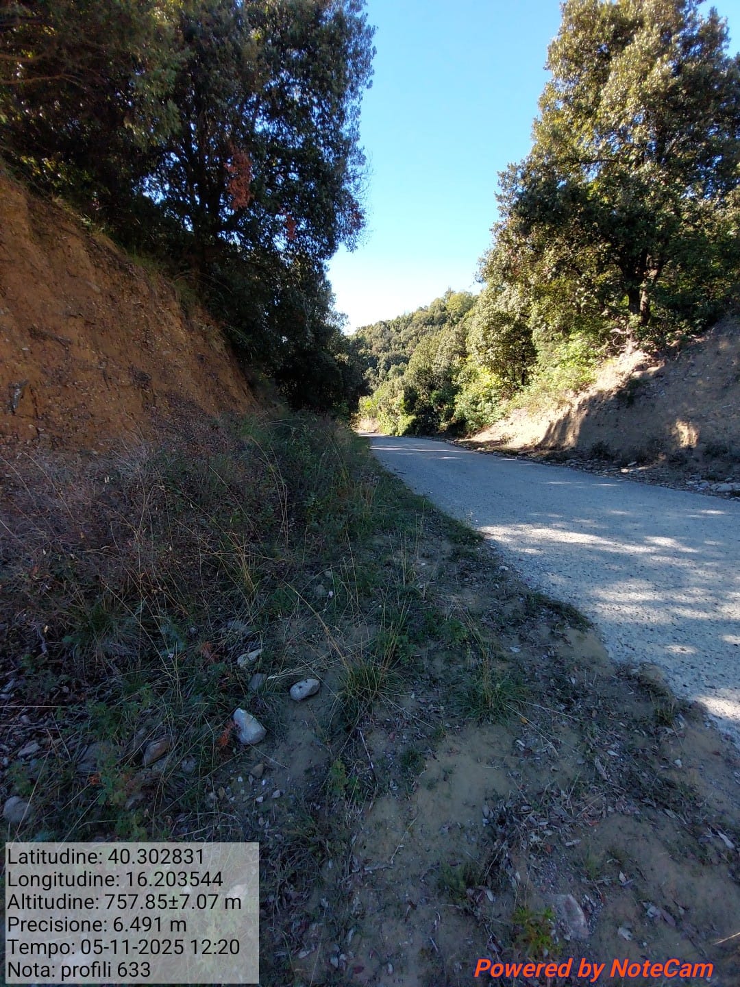 Galleria Fotografica Immagine