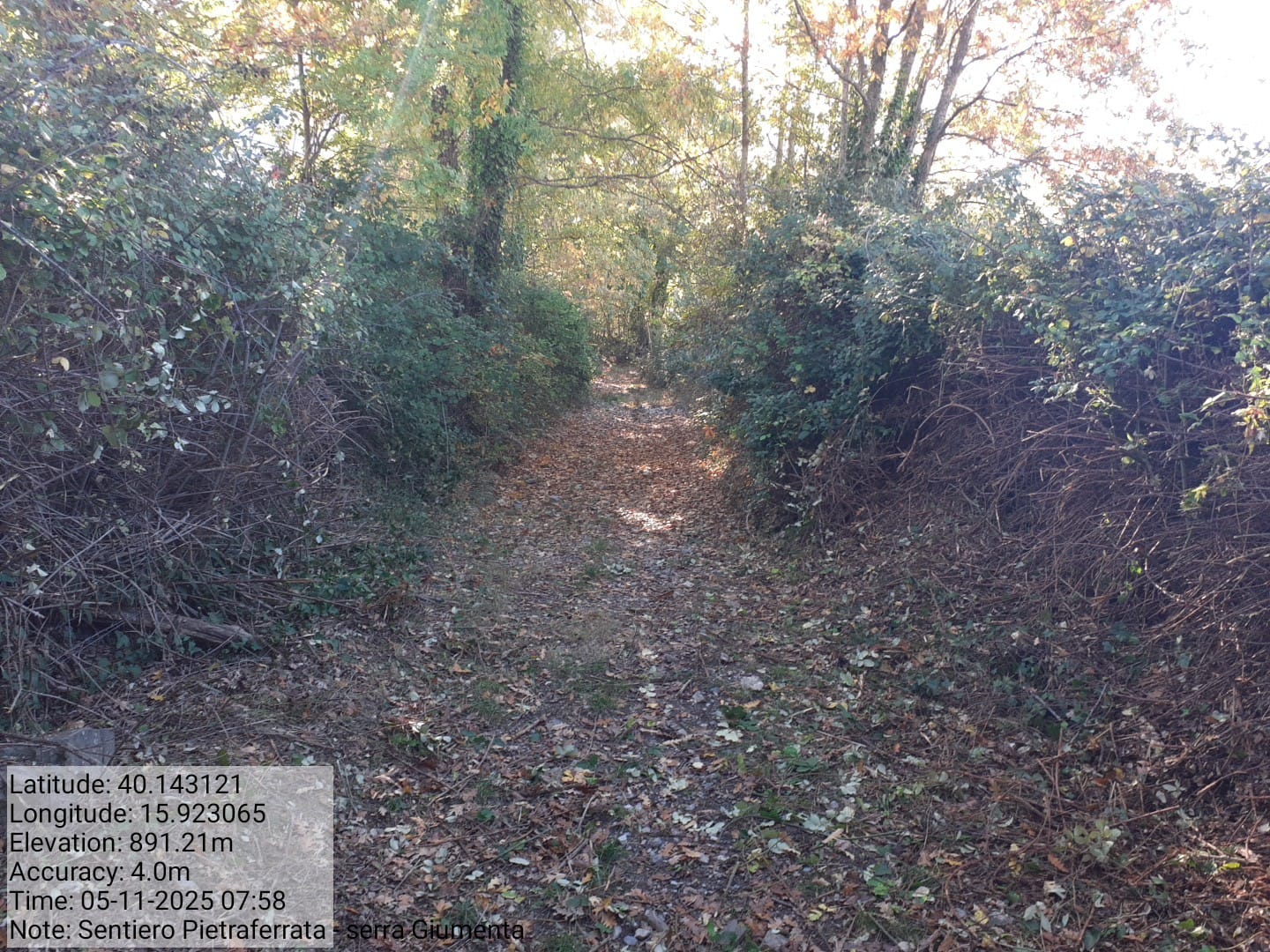 Galleria Fotografica Immagine