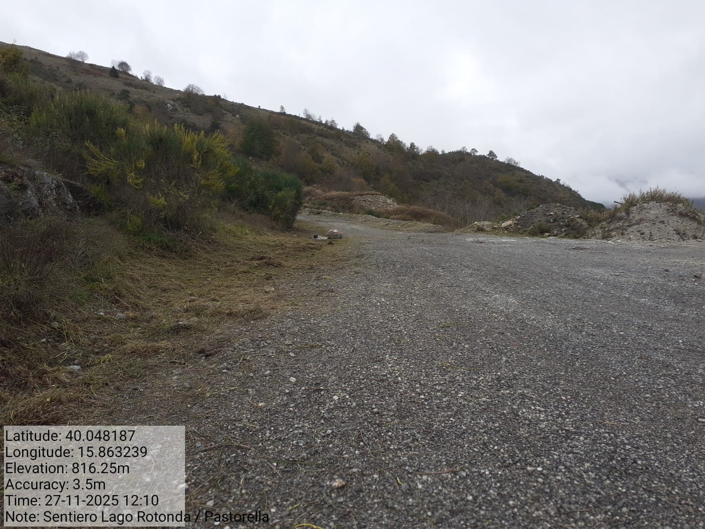 Galleria Fotografica Immagine