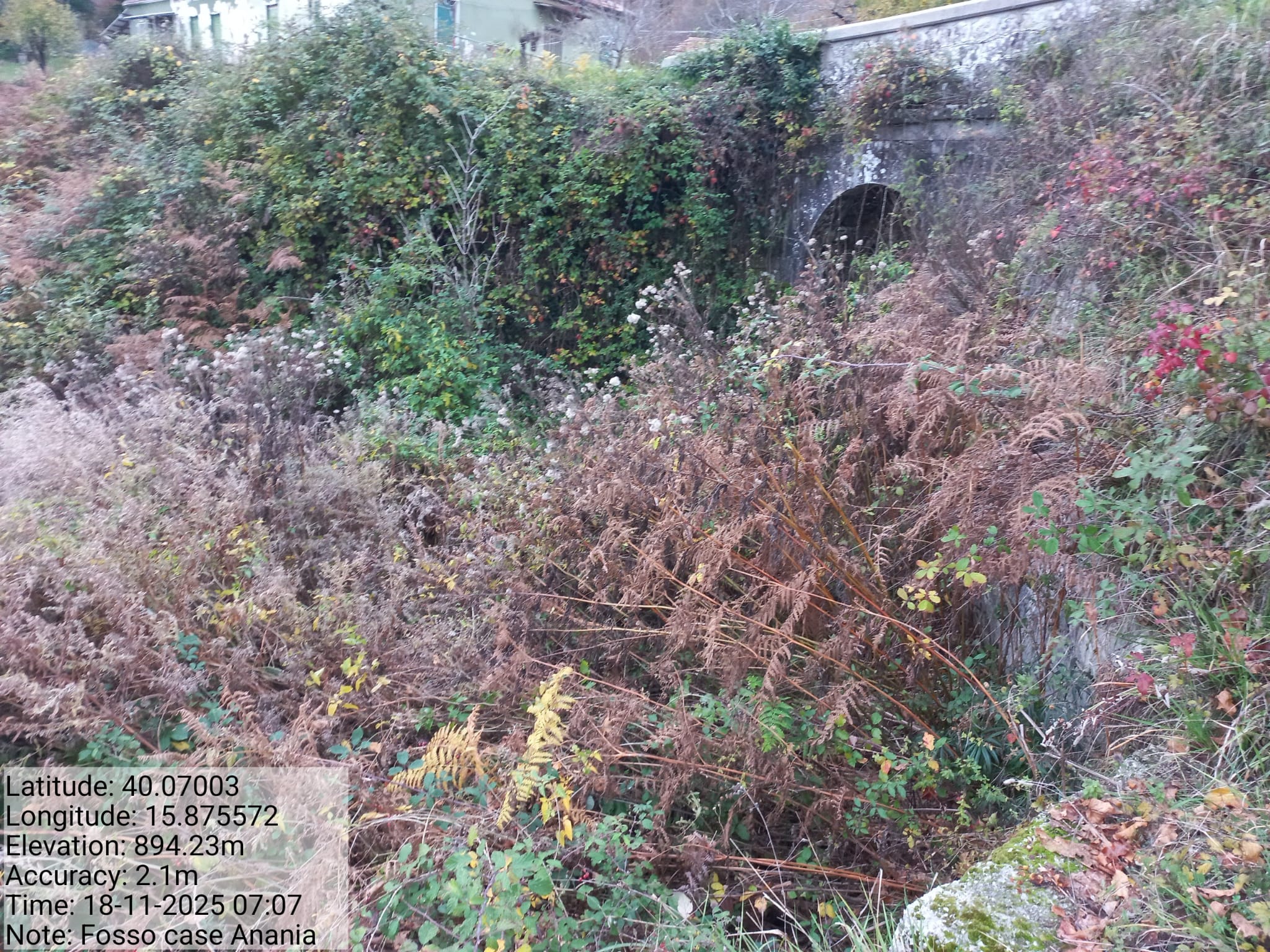 Galleria Fotografica Immagine