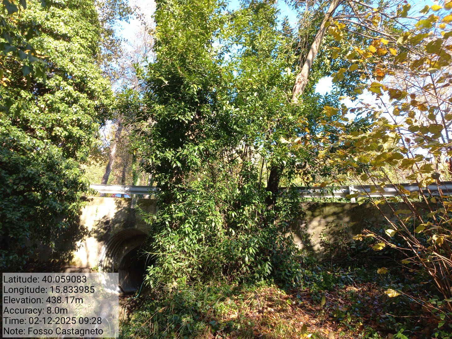 Galleria Fotografica Immagine