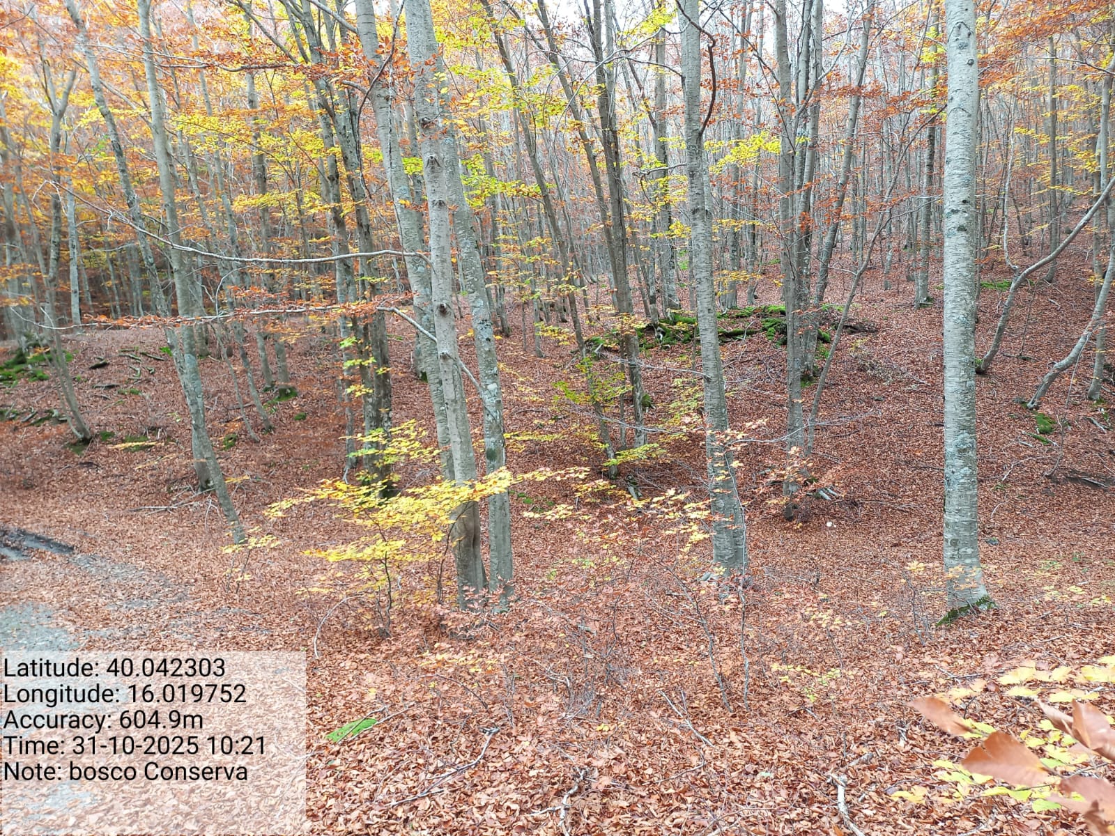 Galleria Fotografica Immagine