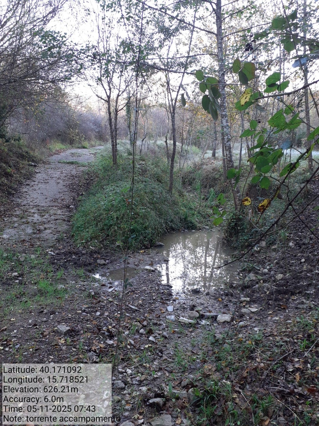 Galleria Fotografica Immagine