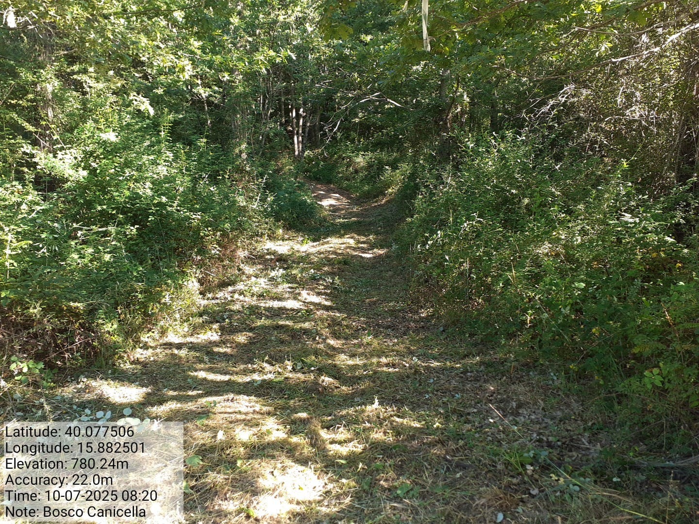 Galleria Fotografica Immagine