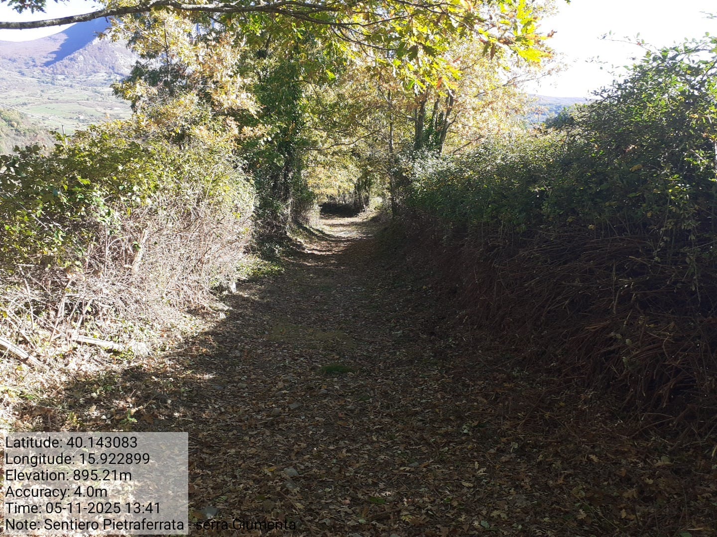 Galleria Fotografica Immagine