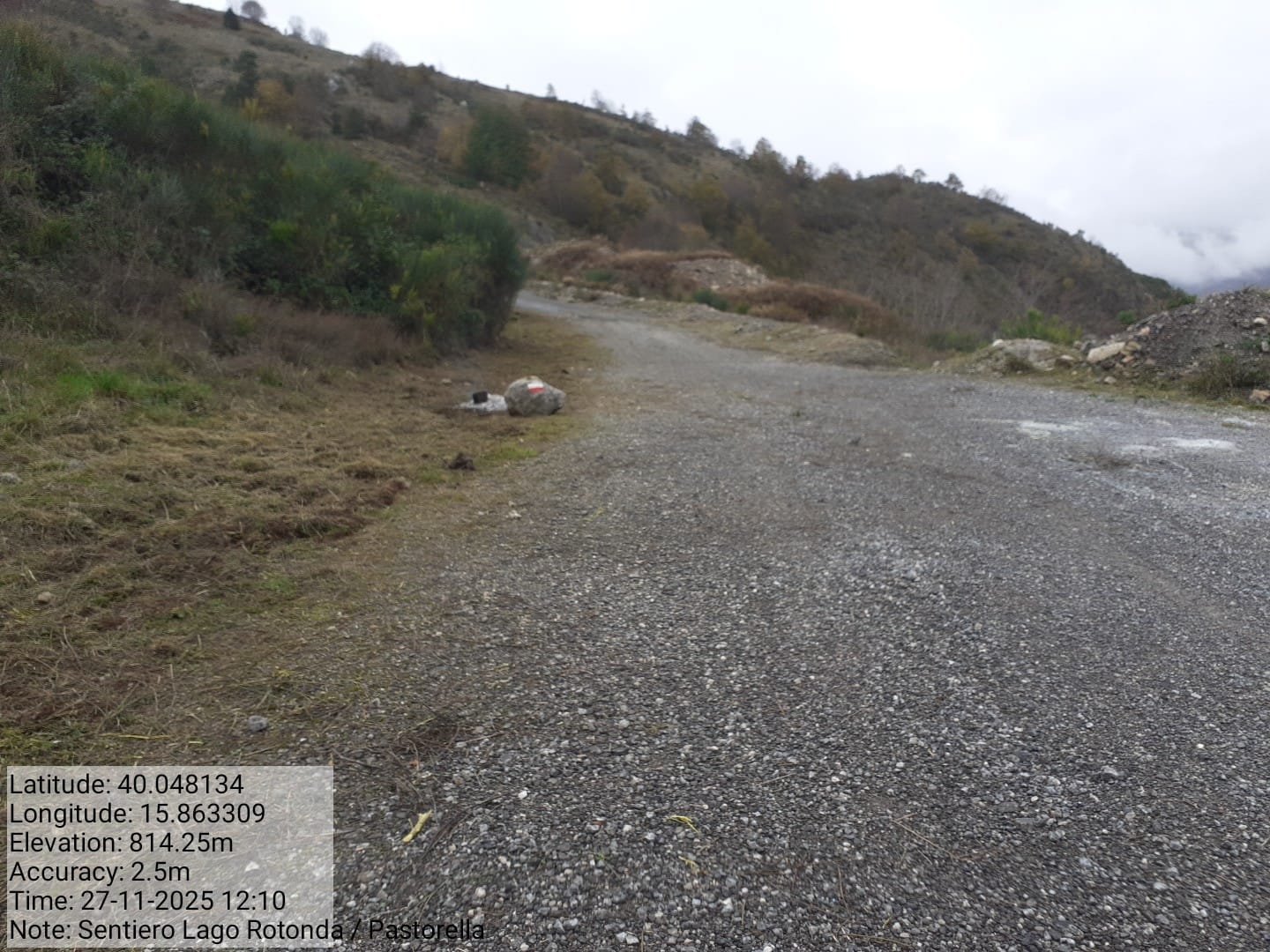 Galleria Fotografica Immagine