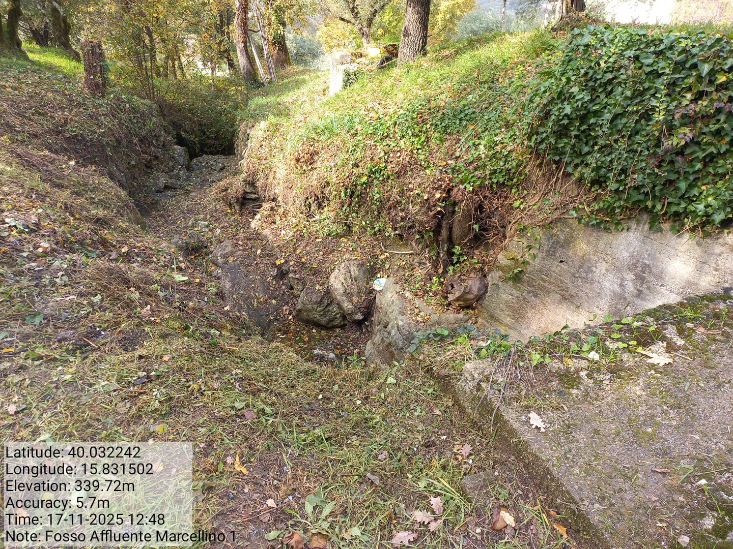 Galleria Fotografica Immagine