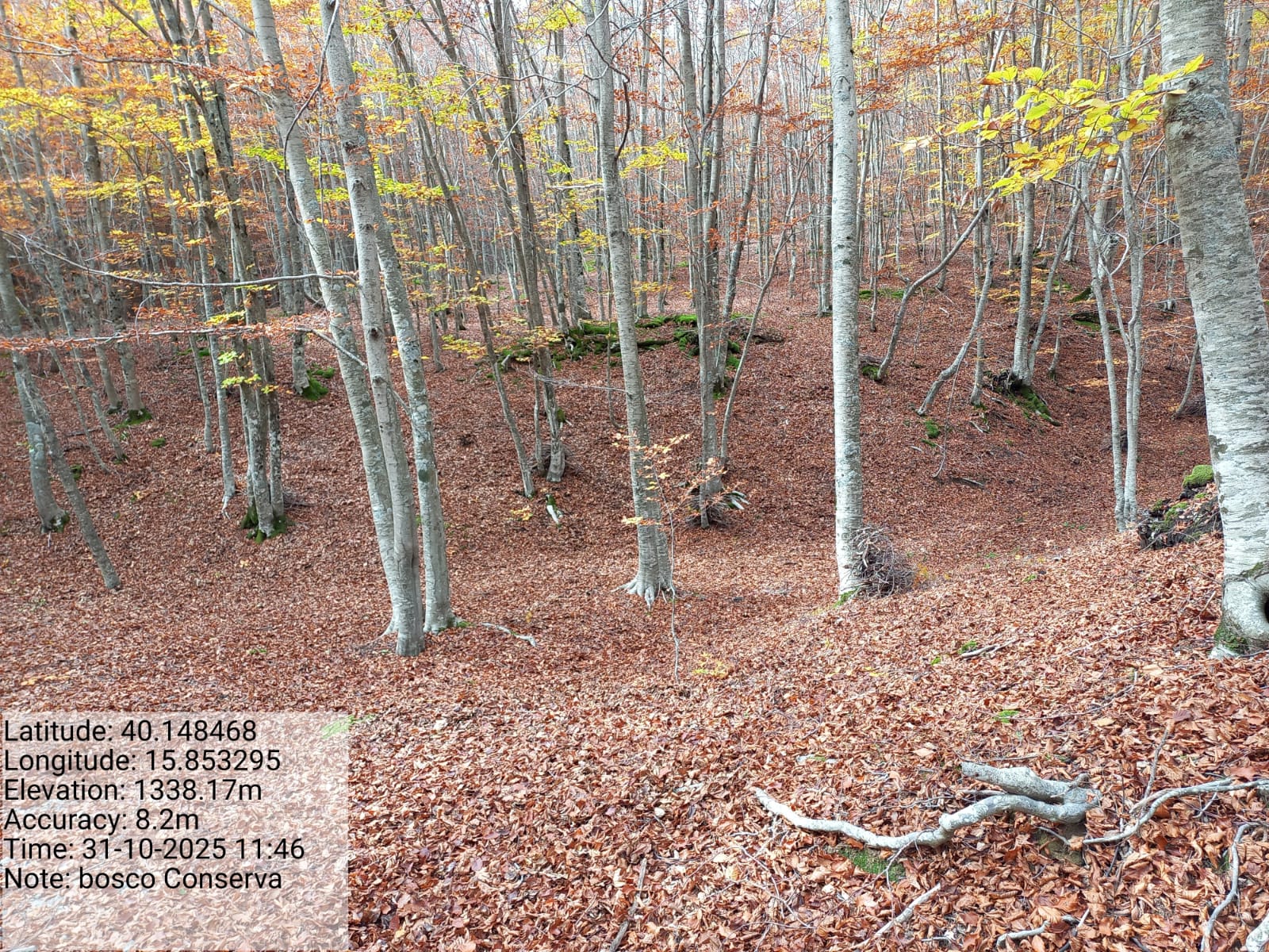 Galleria Fotografica Immagine