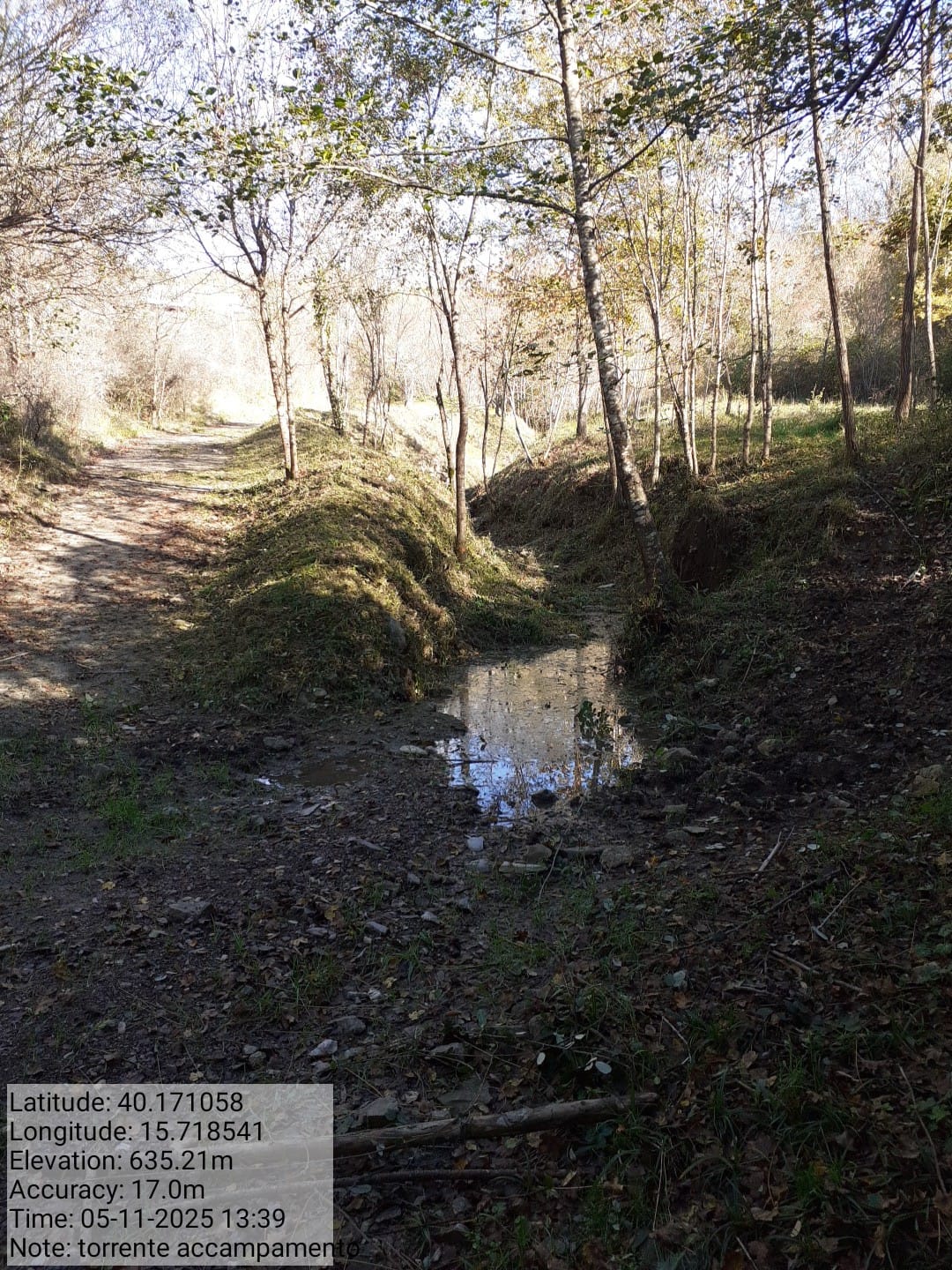 Galleria Fotografica Immagine