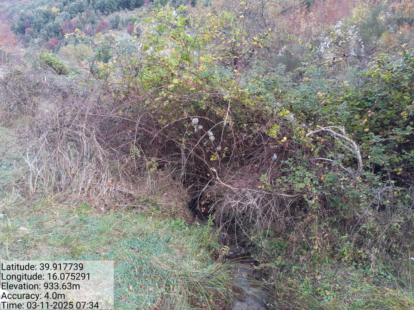 Galleria Fotografica Immagine