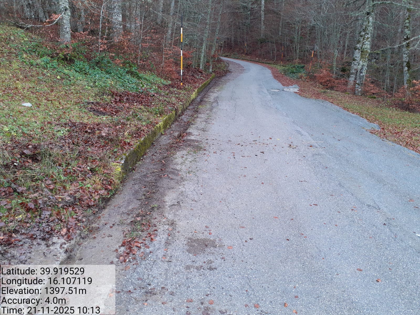 Galleria Fotografica Immagine