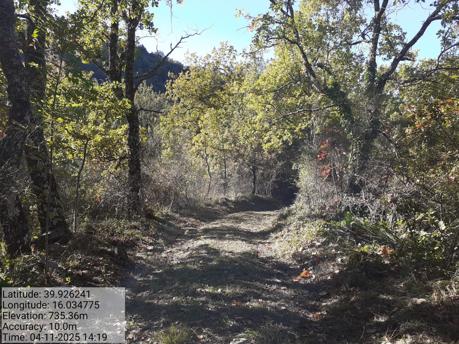 Galleria Fotografica Immagine