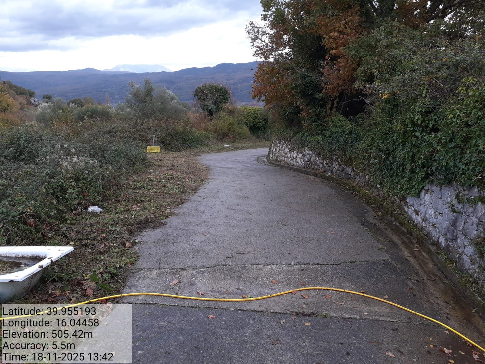 Galleria Fotografica Immagine