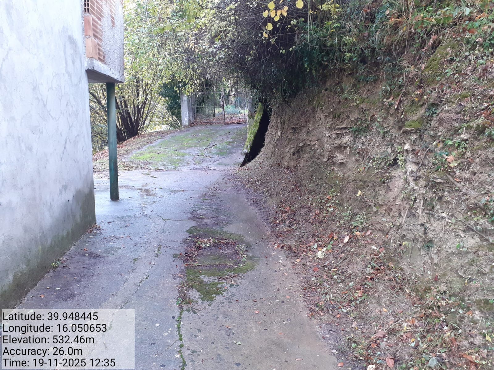 Galleria Fotografica Immagine