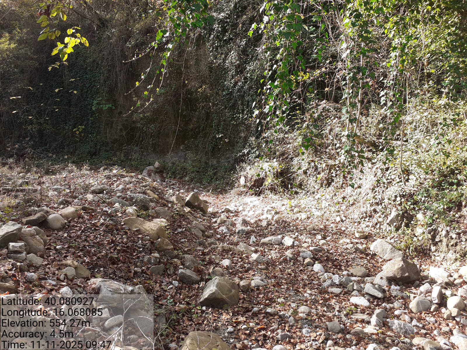 Galleria Fotografica Immagine