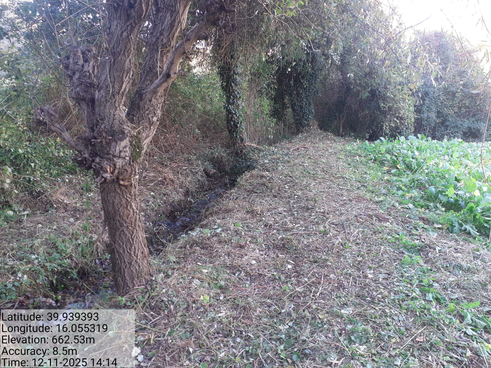 Galleria Fotografica Immagine