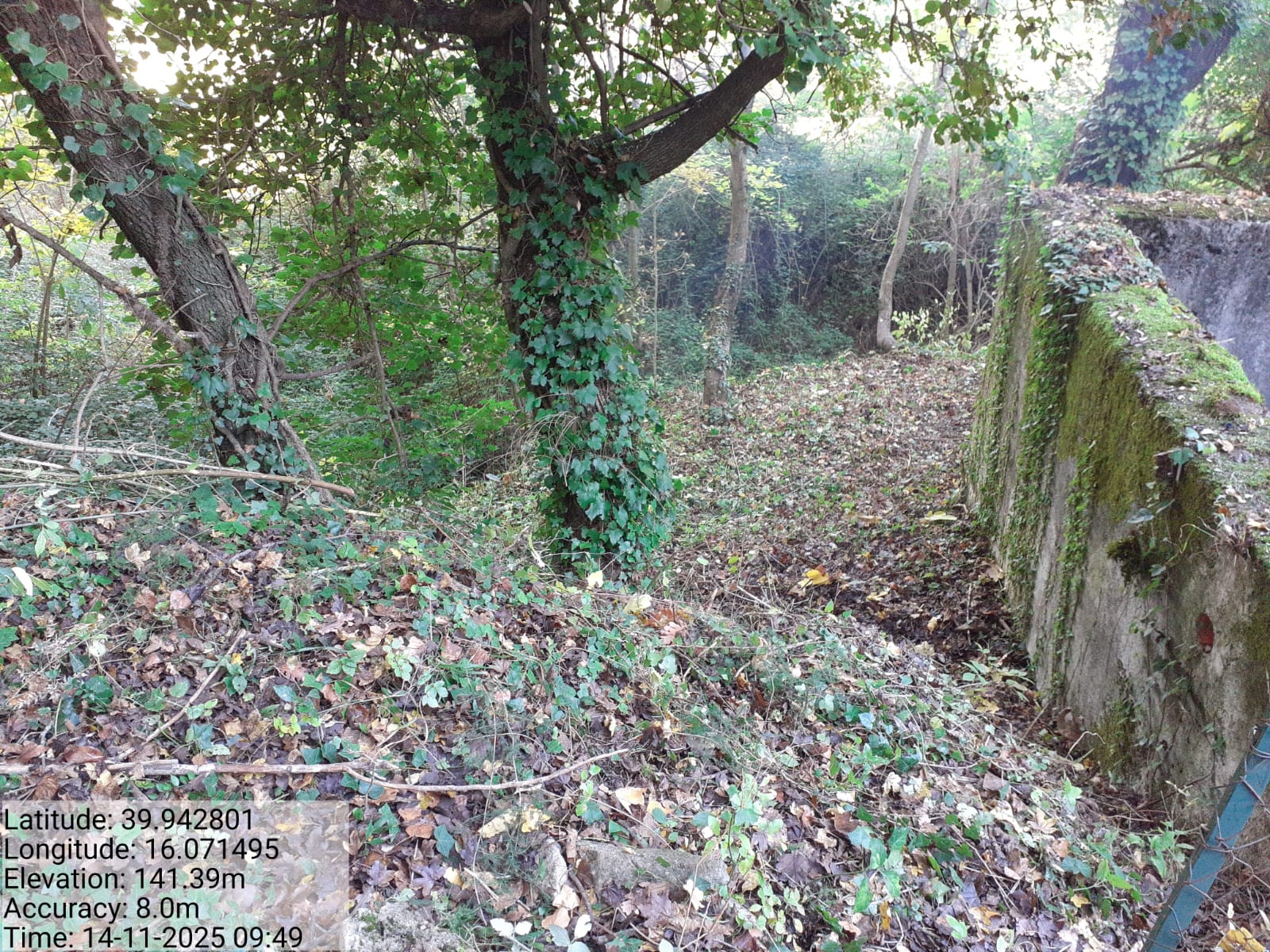 Galleria Fotografica Immagine