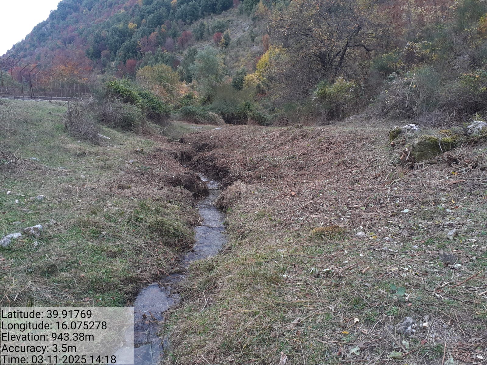 Galleria Fotografica Immagine