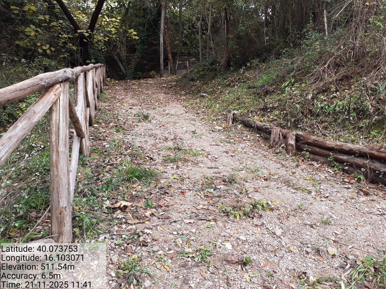 Galleria Fotografica Immagine