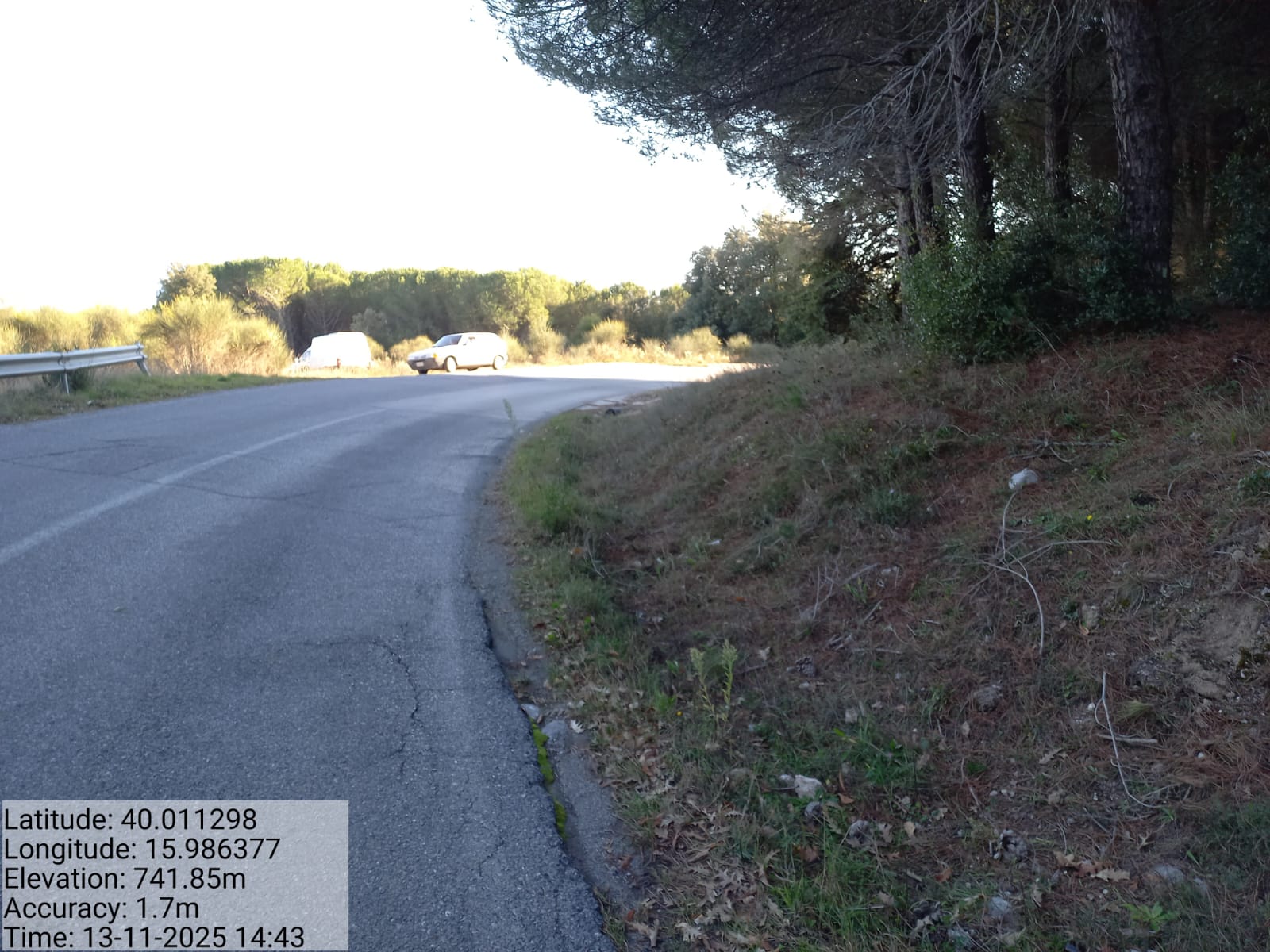 Galleria Fotografica Immagine