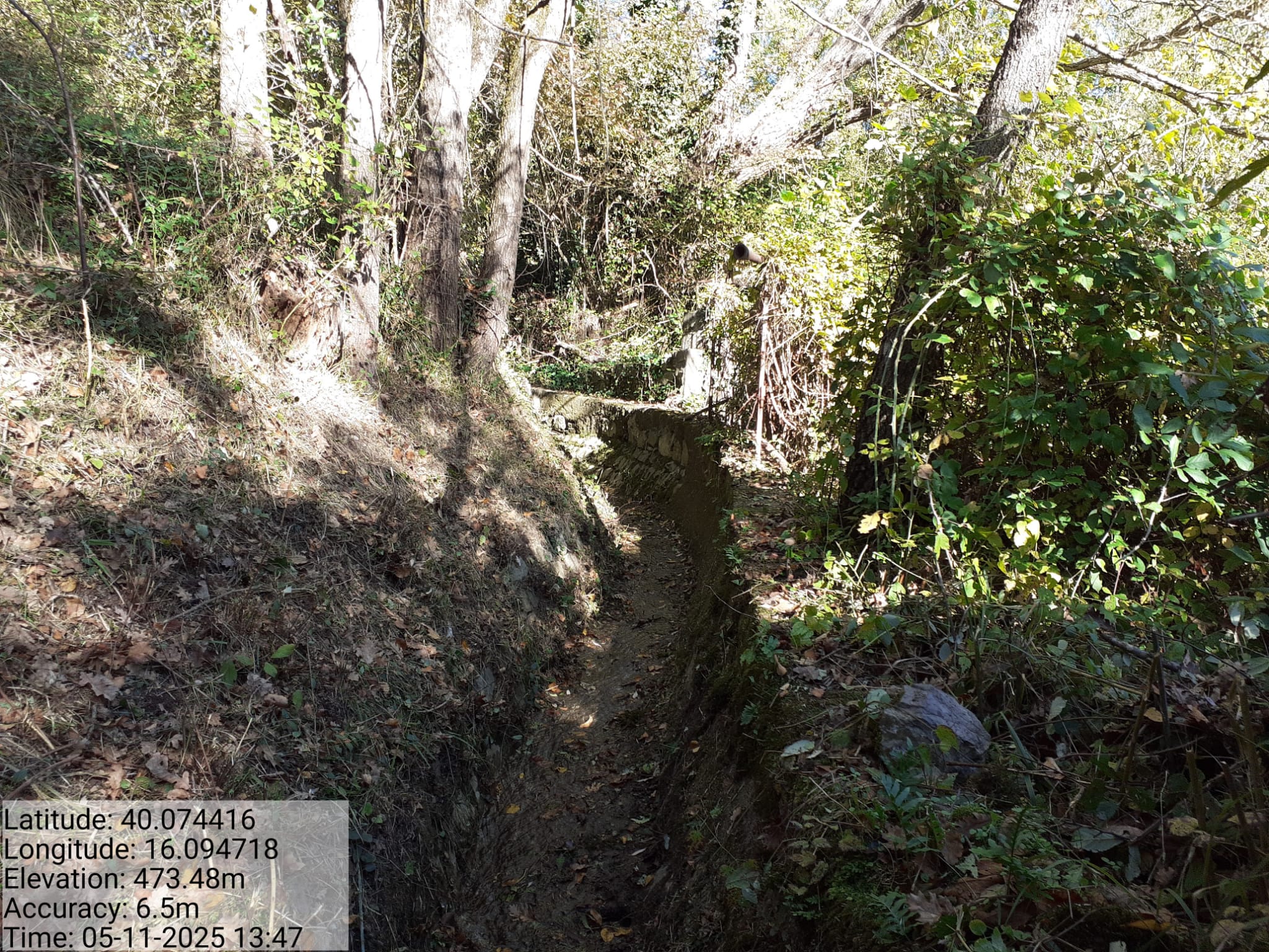 Galleria Fotografica Immagine