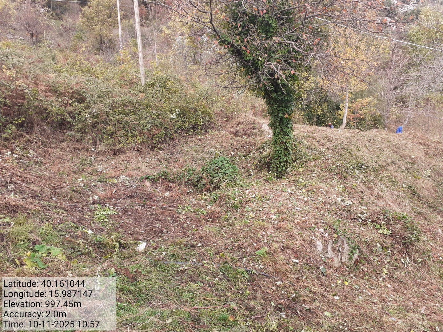 Galleria Fotografica Immagine