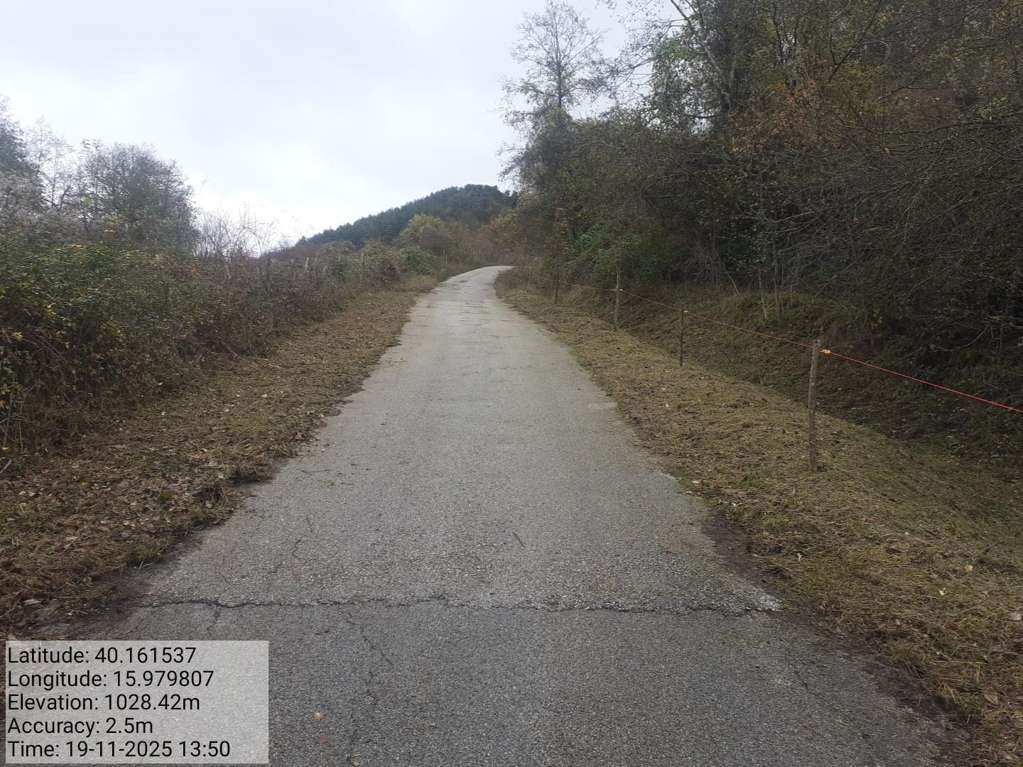 Galleria Fotografica Immagine