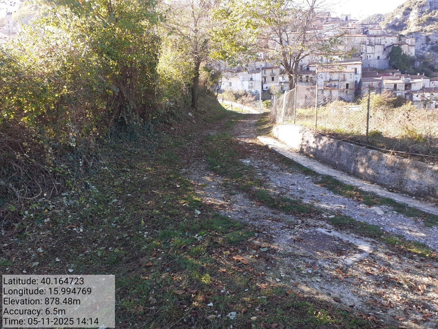 Galleria Fotografica Immagine