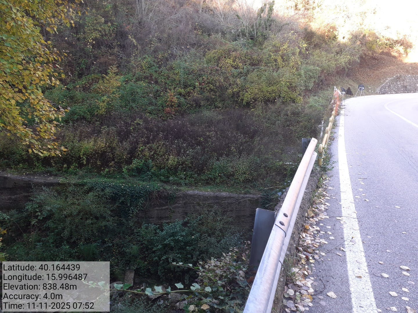 Galleria Fotografica Immagine