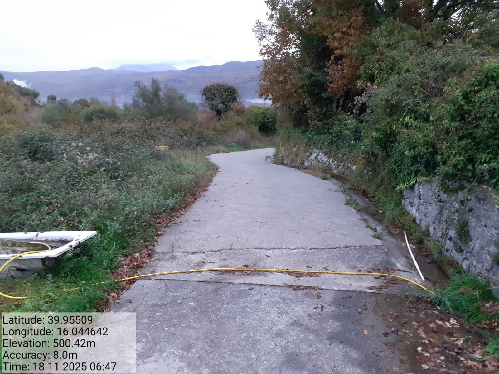 Galleria Fotografica Immagine