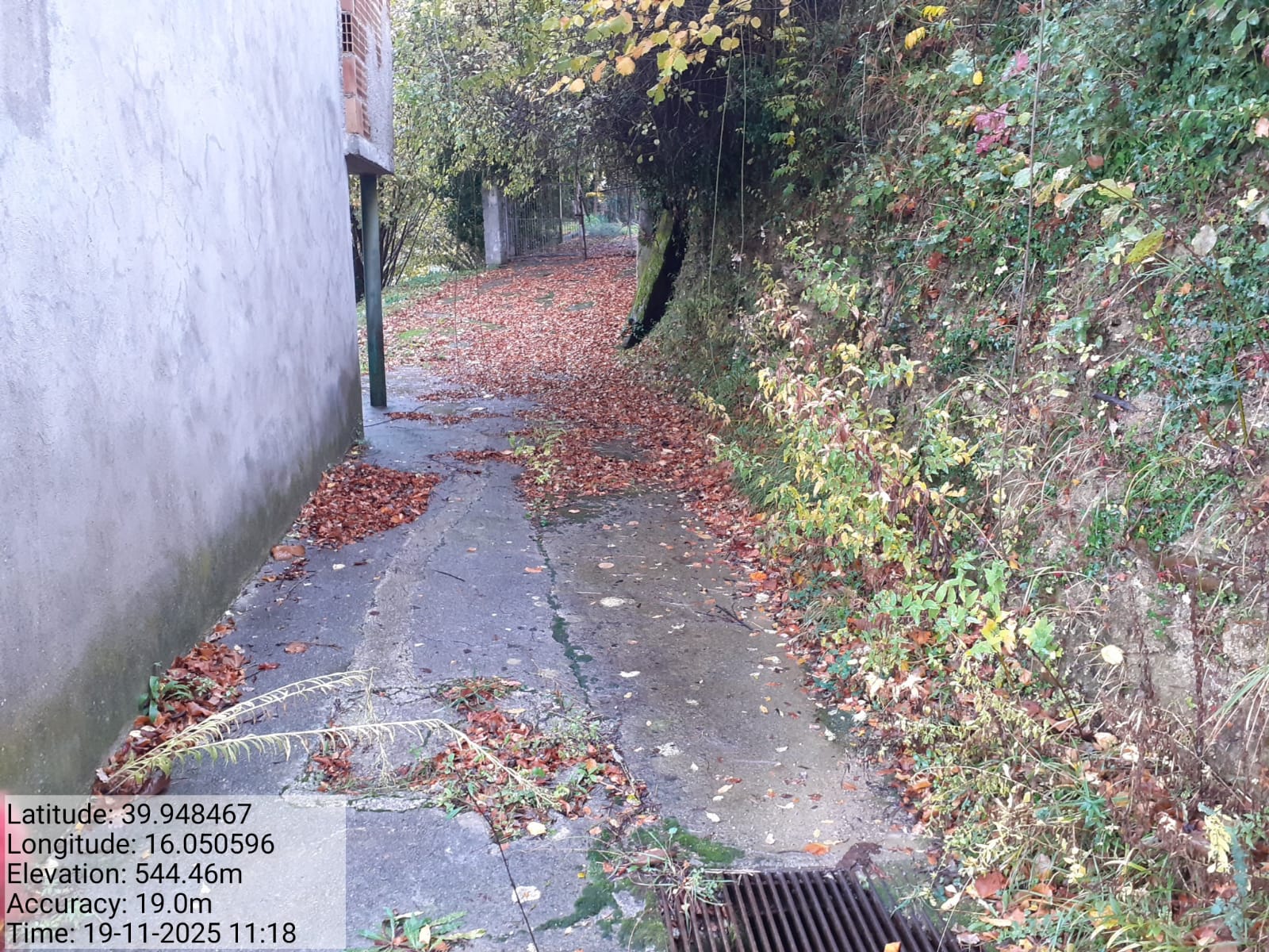 Galleria Fotografica Immagine