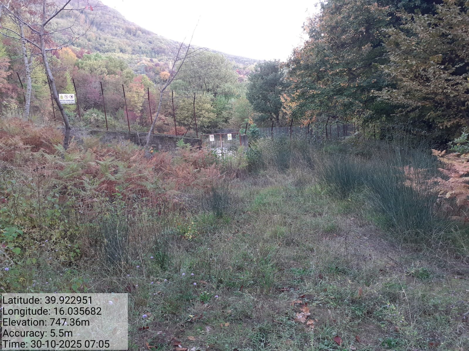 Galleria Fotografica Immagine