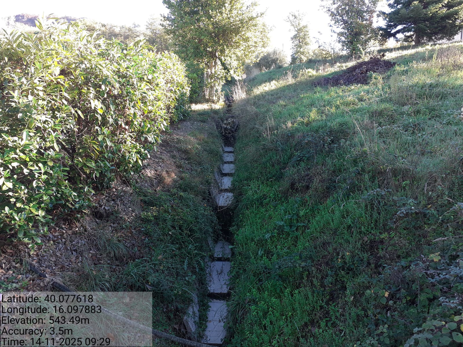 Galleria Fotografica Immagine