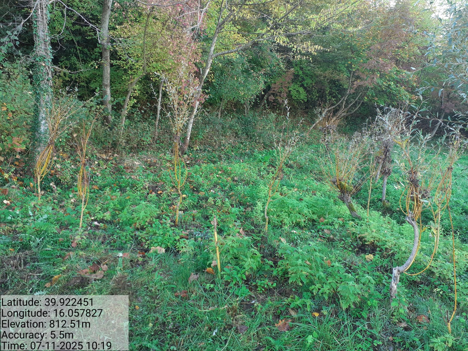 Galleria Fotografica Immagine