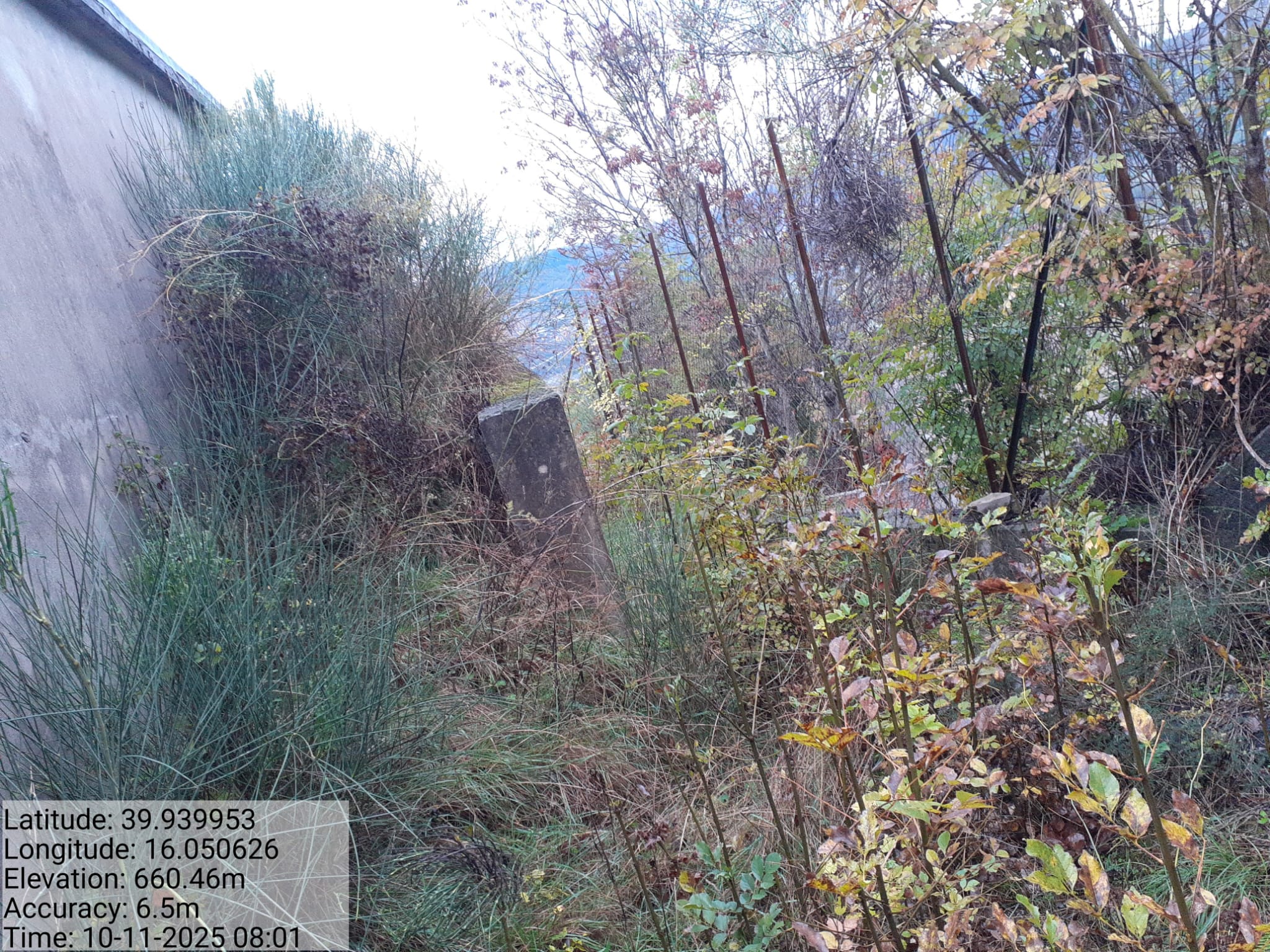 Galleria Fotografica Immagine