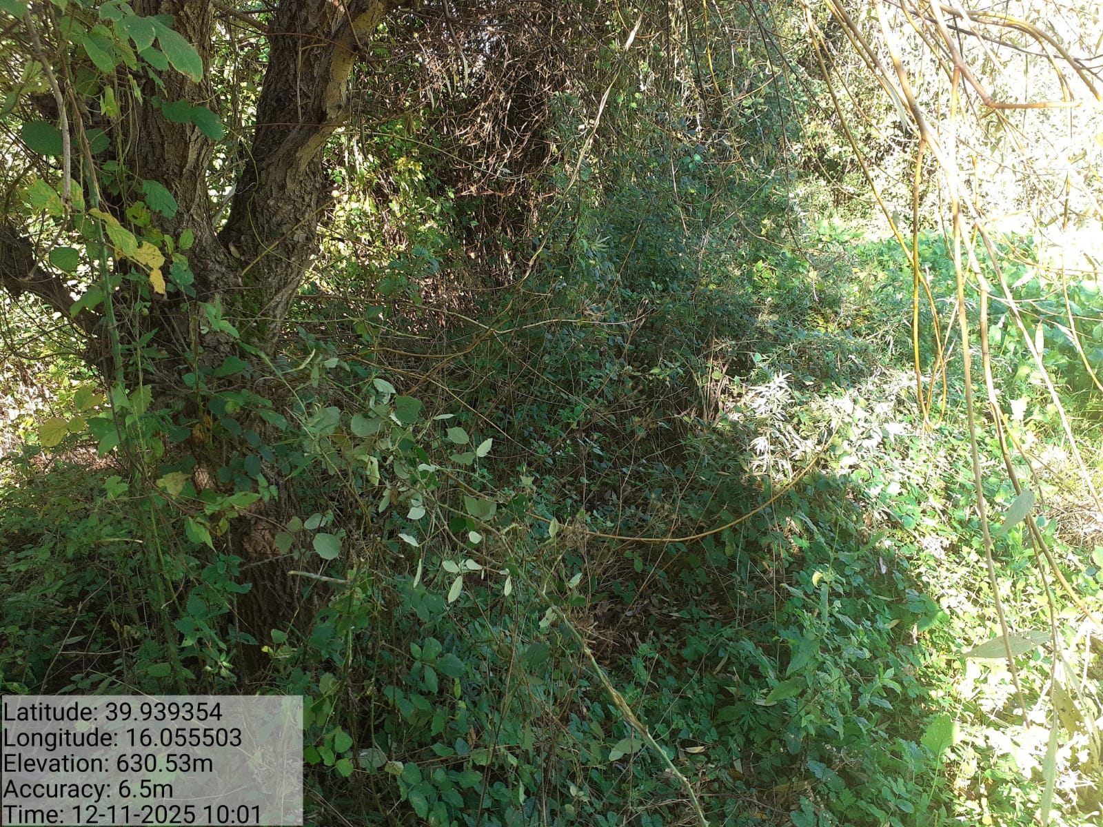 Galleria Fotografica Immagine