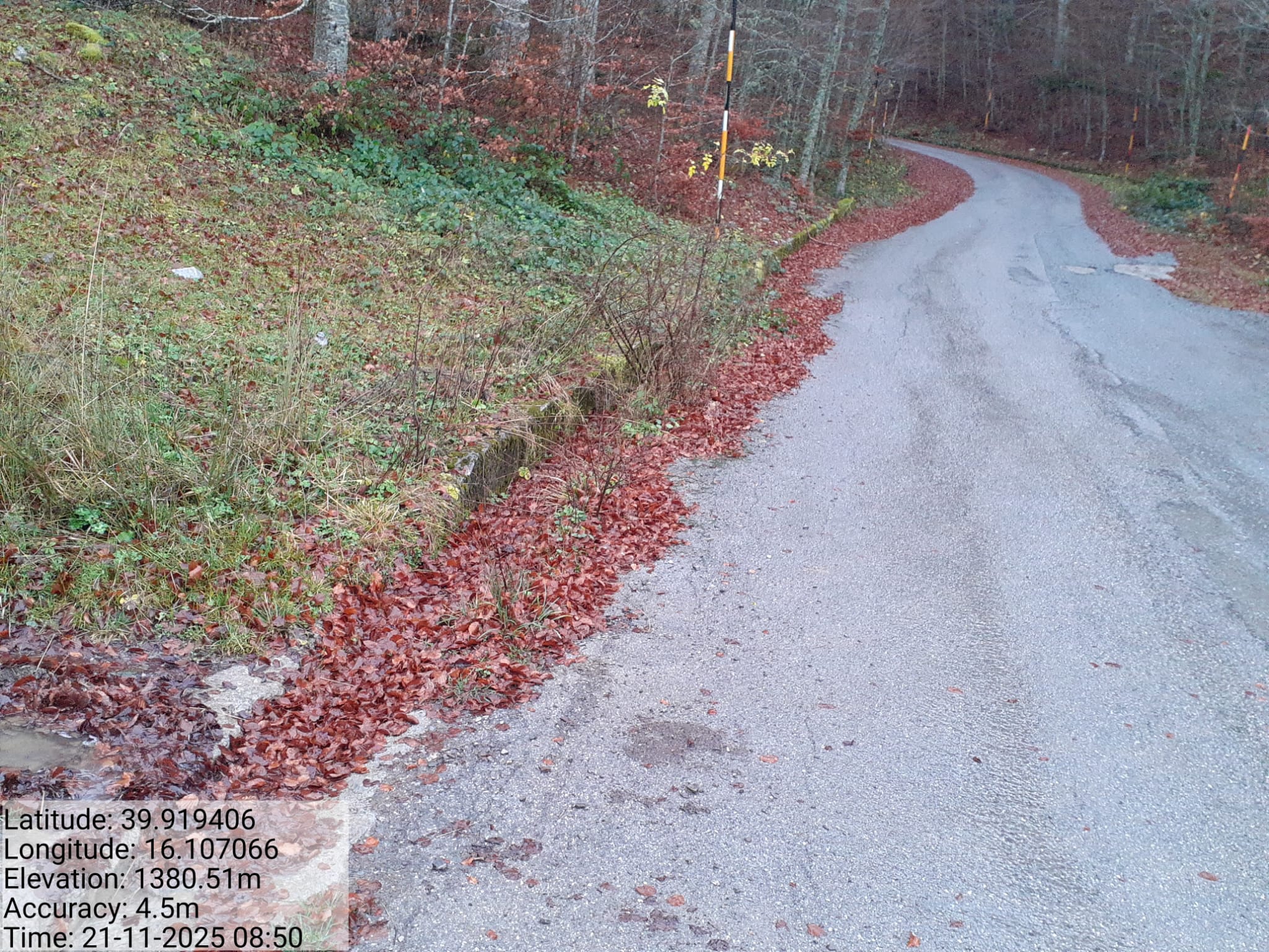 Galleria Fotografica Immagine