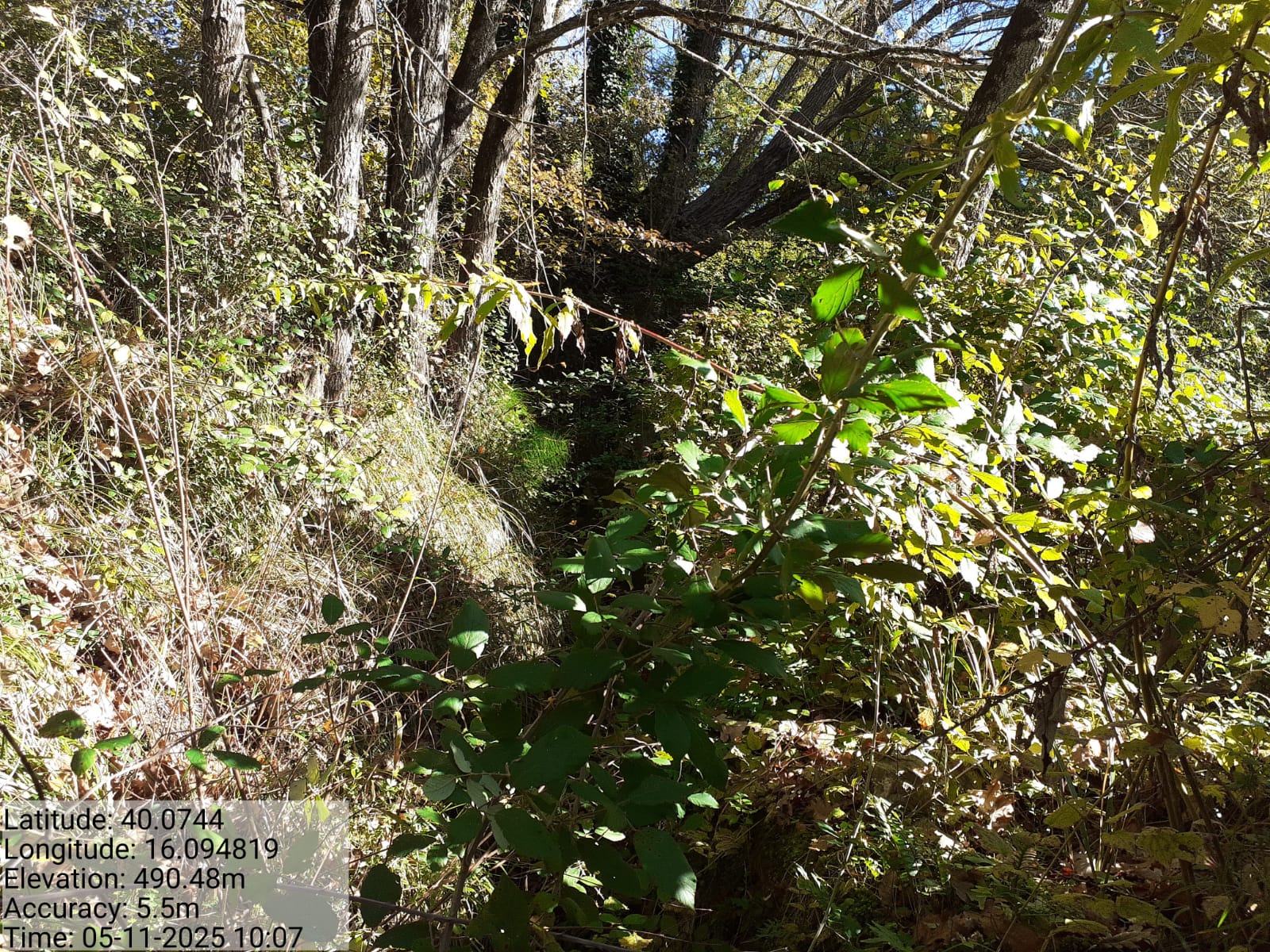 Galleria Fotografica Immagine