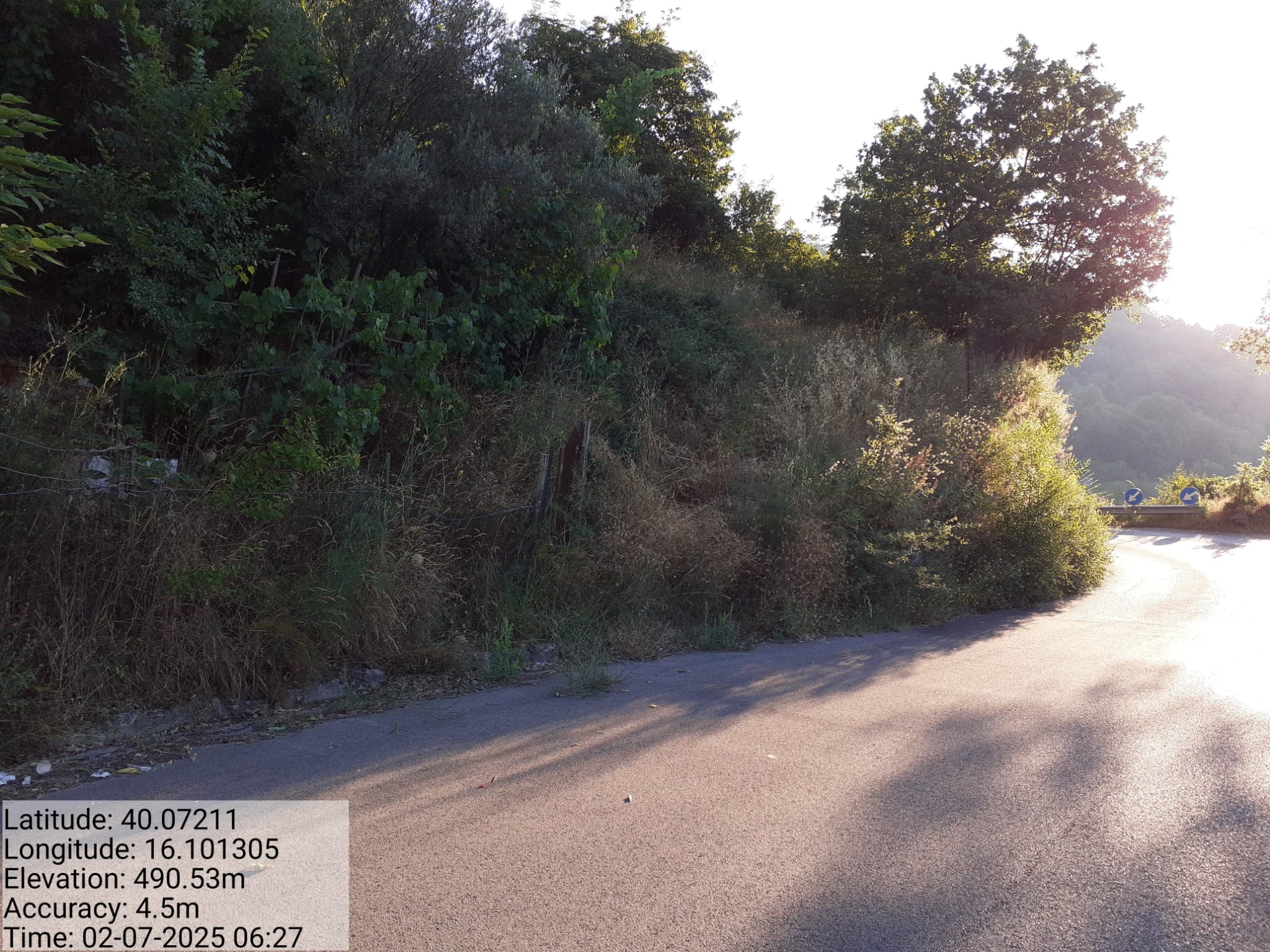 Galleria Fotografica Immagine