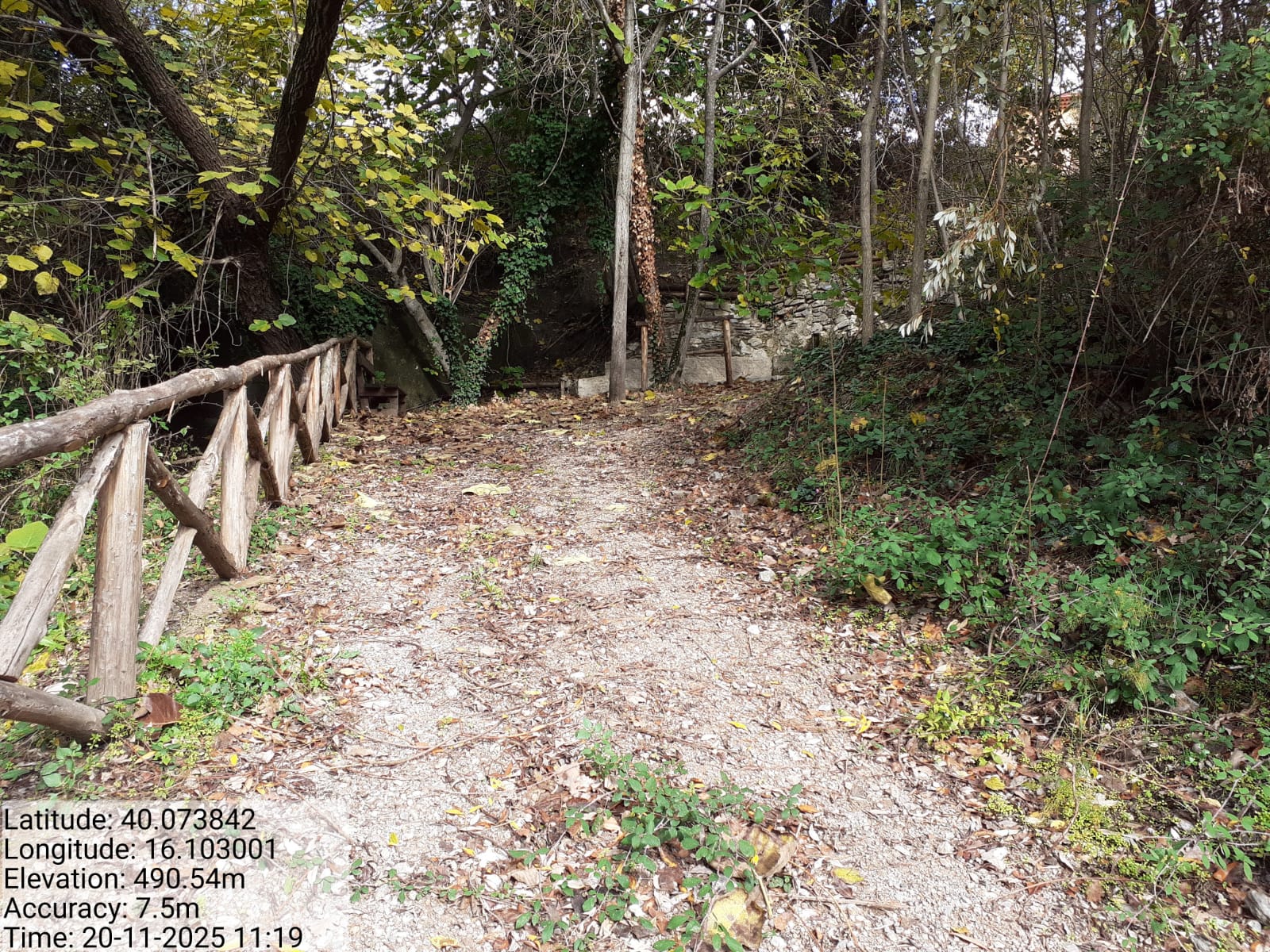 Galleria Fotografica Immagine