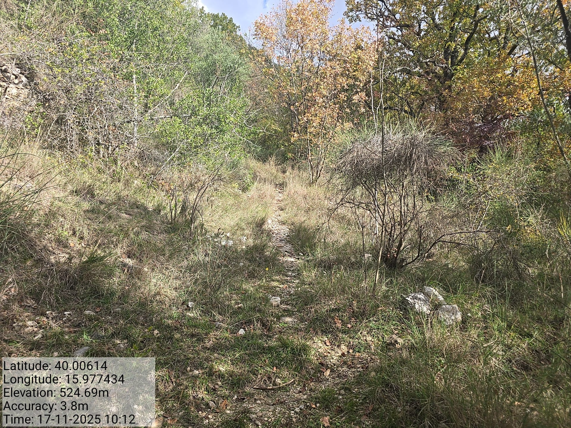 Galleria Fotografica Immagine