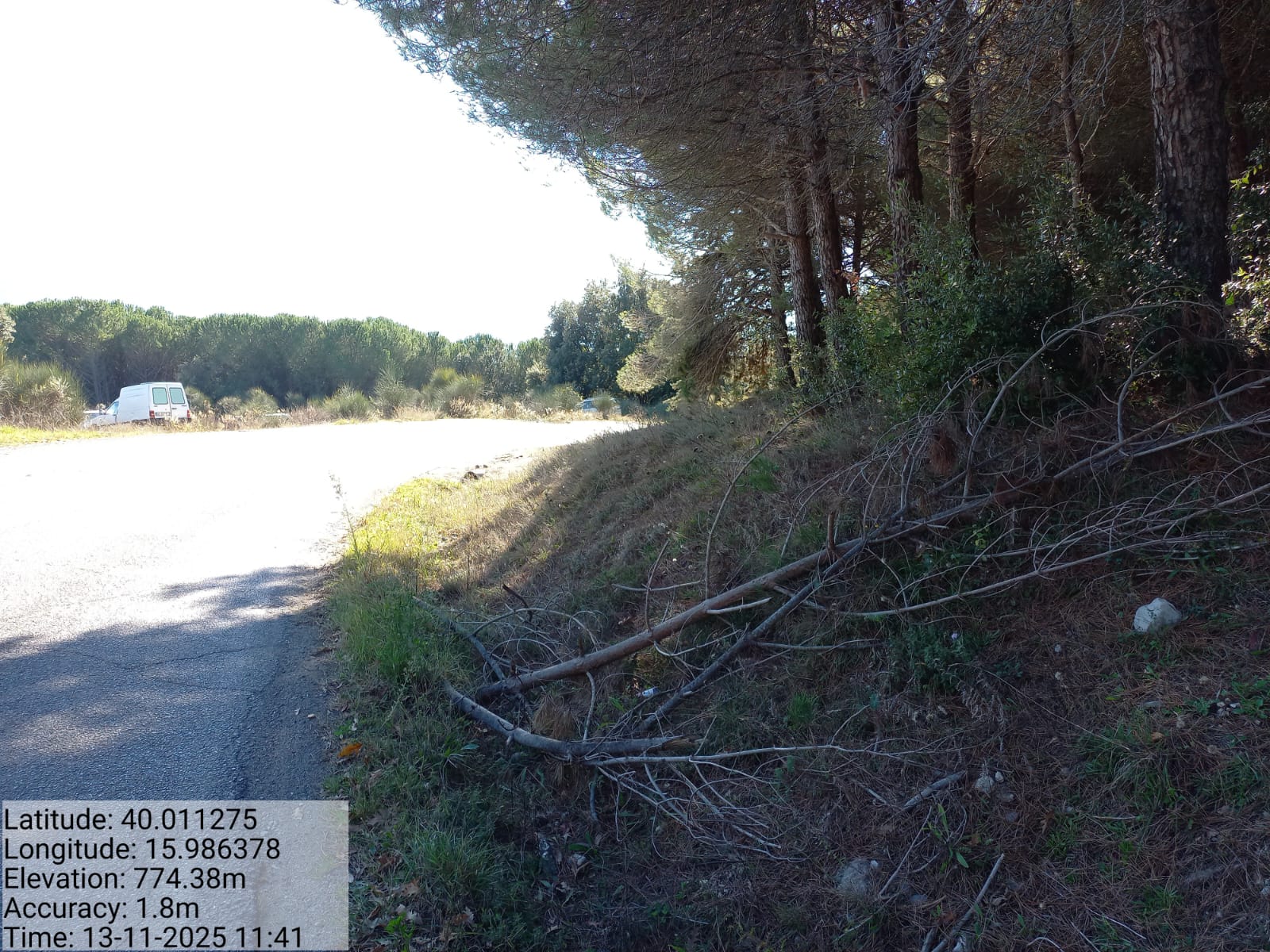 Galleria Fotografica Immagine