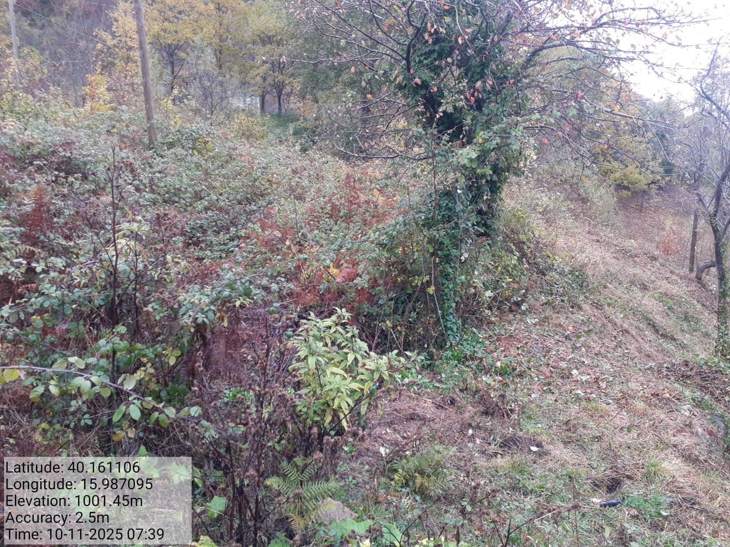 Galleria Fotografica Immagine