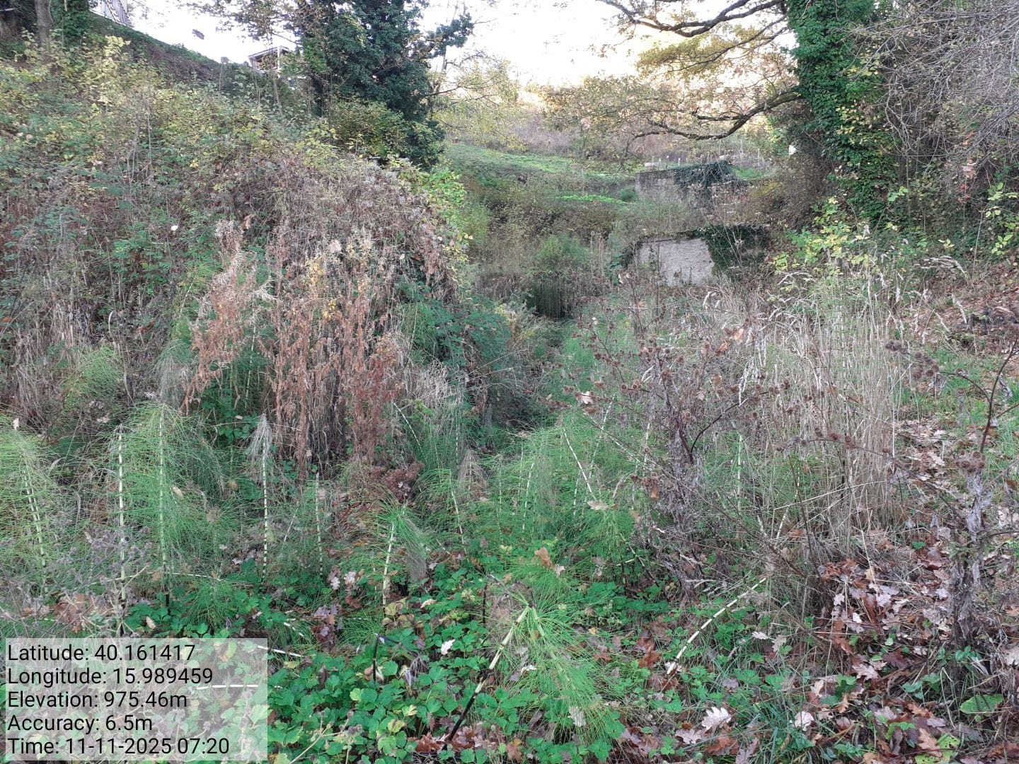 Galleria Fotografica Immagine