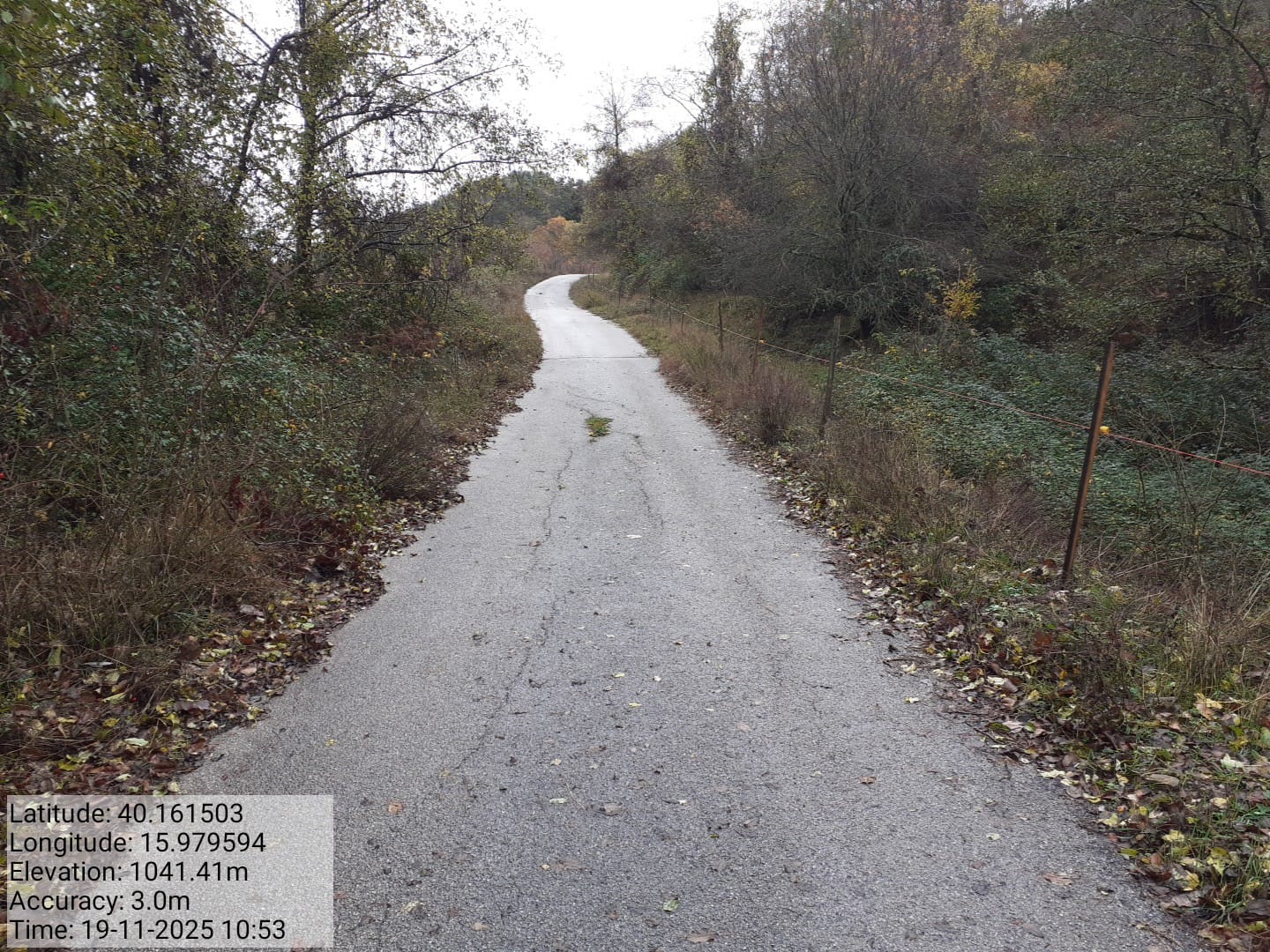 Galleria Fotografica Immagine