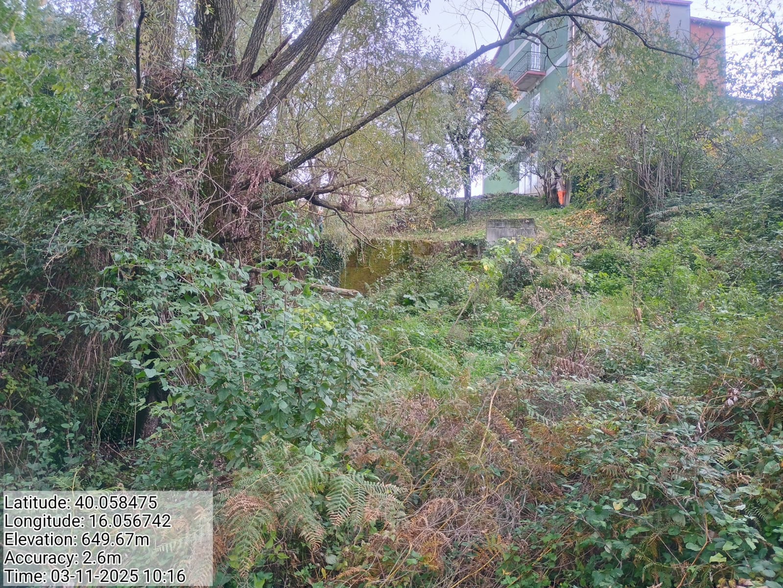 Galleria Fotografica Immagine