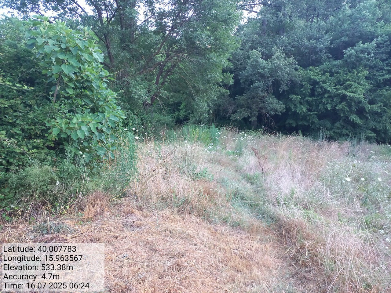 Galleria Fotografica Immagine