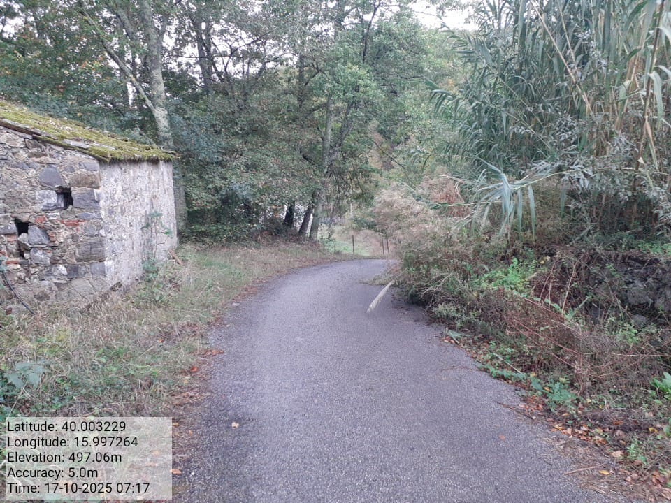 Galleria Fotografica Immagine